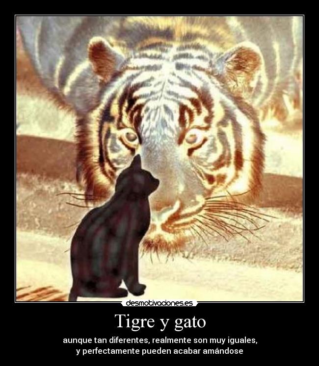 Tigre y gato - aunque tan diferentes, realmente son muy iguales,
y perfectamente pueden acabar amándose