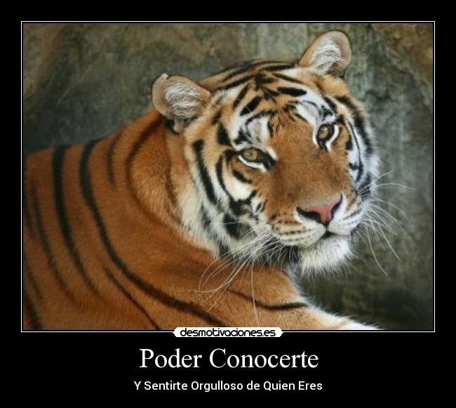 Poder Conocerte - Y Sentirte Orgulloso de Quien Eres