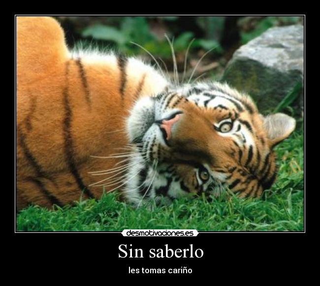 Sin saberlo -