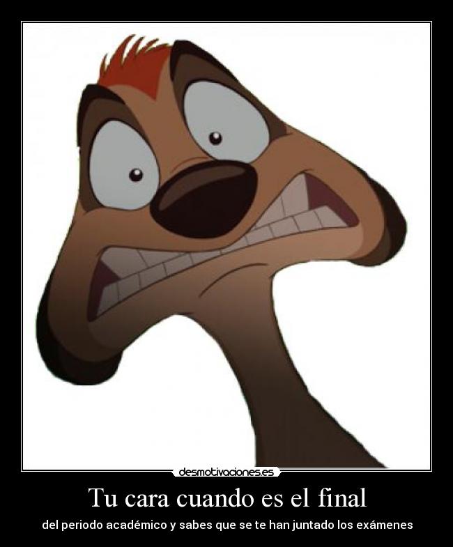 Tu cara cuando es el final - del periodo académico y sabes que se te han juntado los exámenes