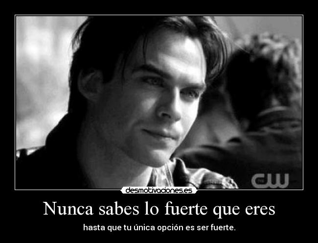 carteles palomitademaiz desmotivaciones