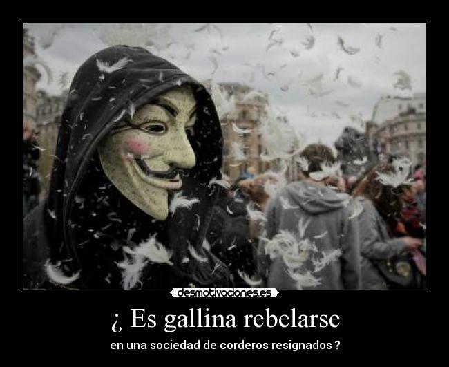 ¿ Es gallina rebelarse -