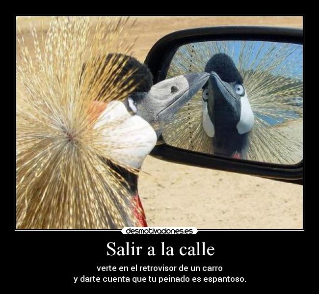 Salir a la calle -
