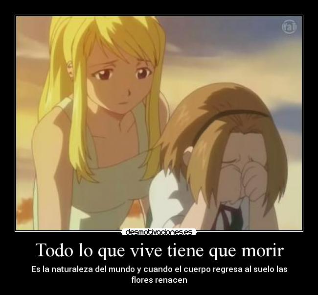 carteles todo fullmetal alchemist desmotivaciones