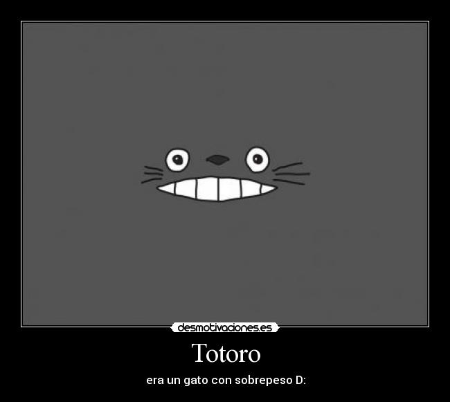 Totoro - 
