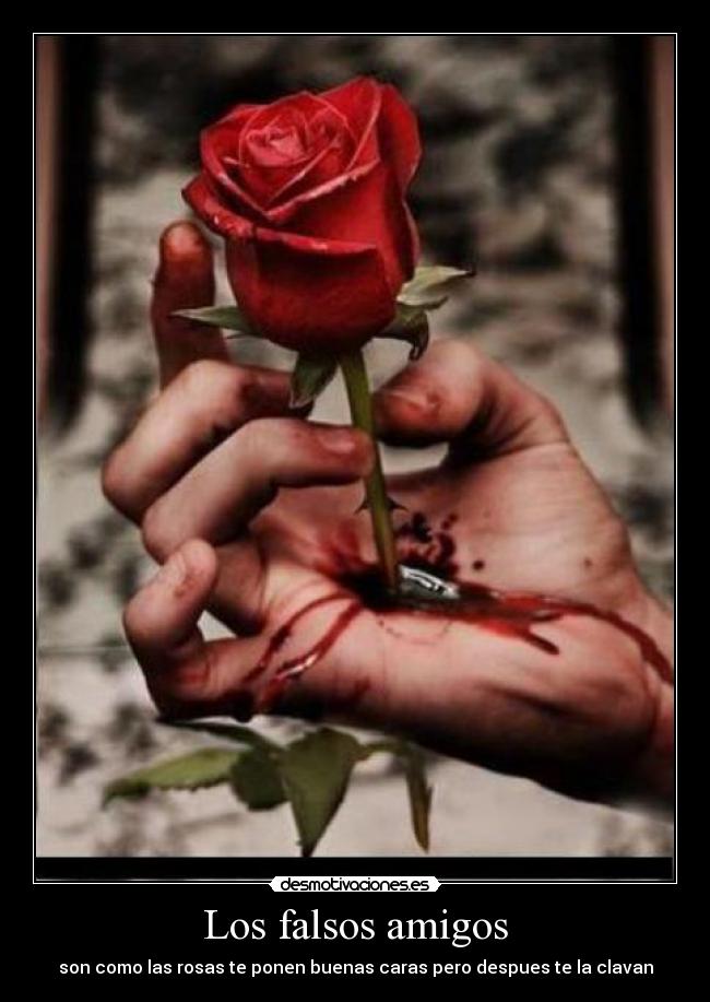 carteles amigos whololooooo desmotivaciones