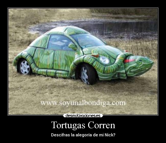 Tortugas Corren -