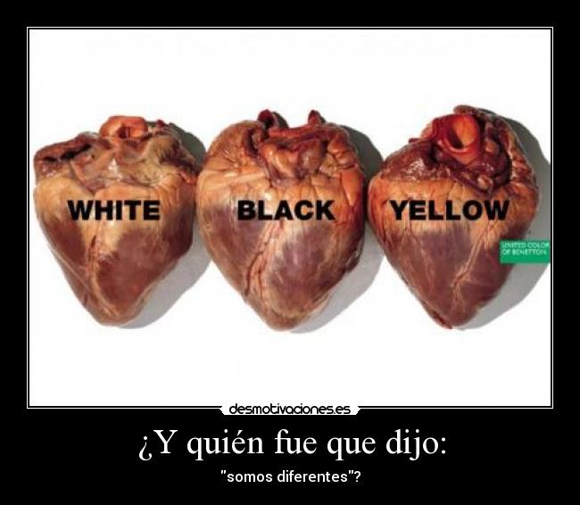 ¿Y quién fue que dijo: -