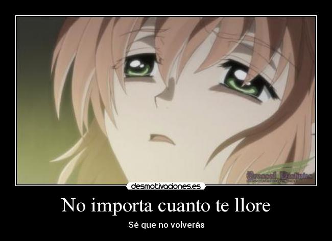No importa cuanto te llore - Sé que no volverás