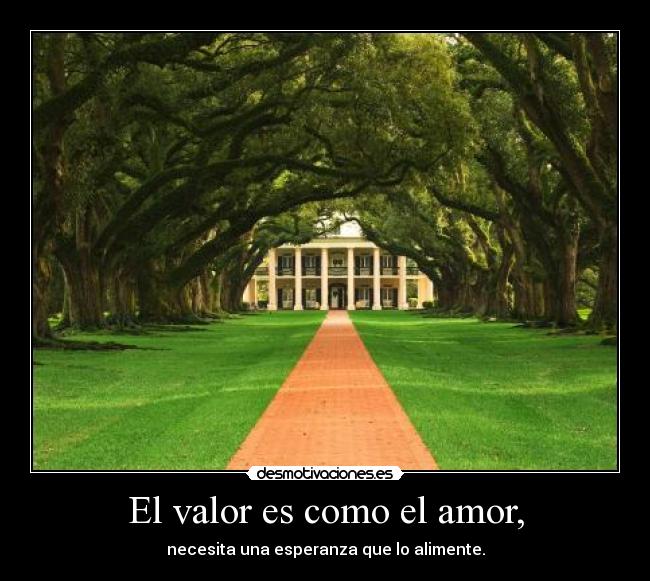 El valor es como el amor, - 