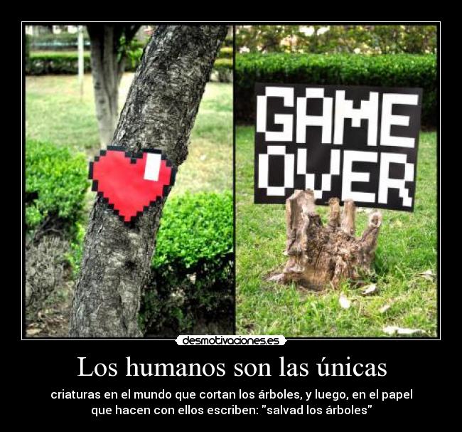 Los humanos son las únicas - 