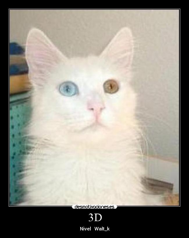 3D - Nivel Walt_k