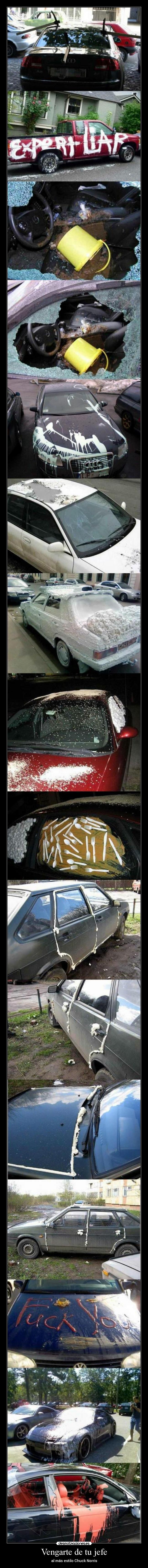 Vengarte de tu jefe - 