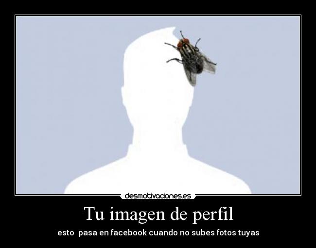 carteles facebook perfil fotos desmotivaciones