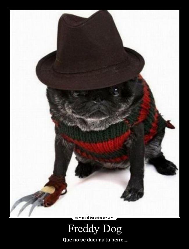 Freddy Dog - Que no se duerma tu perro...