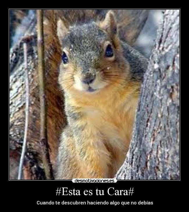 #Esta es tu Cara# - 