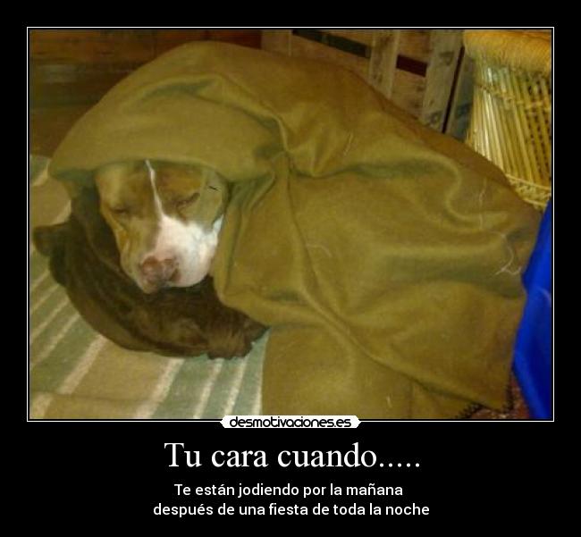 Tu cara cuando..... -