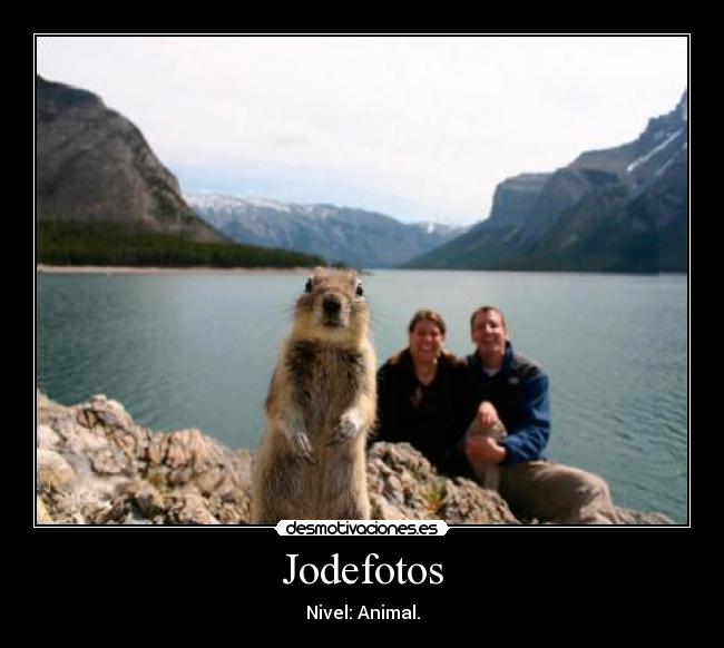 Jodefotos - Nivel: Animal.