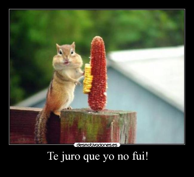 Te juro que yo no fui! -