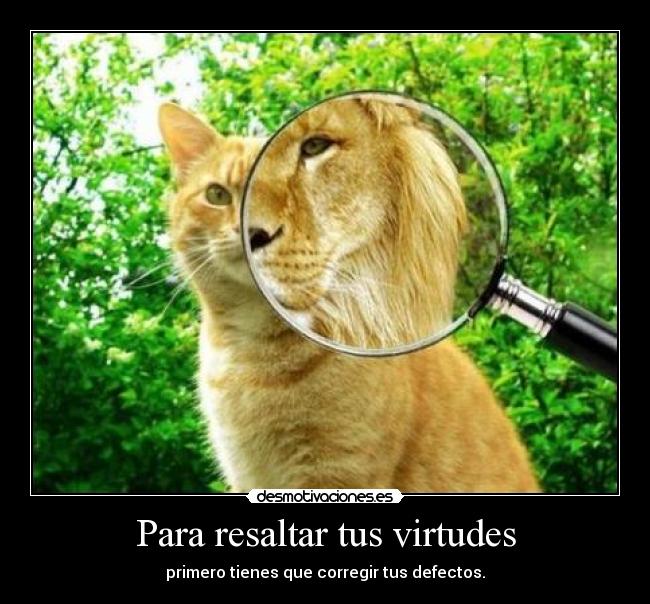 Para resaltar tus virtudes - 