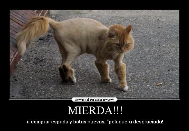 MIERDA!!! - a comprar espada y botas nuevas, peluquera desgraciada!