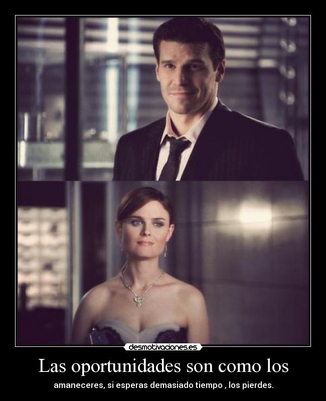 Las oportunidades son como los - amaneceres, si esperas demasiado tiempo , los pierdes.