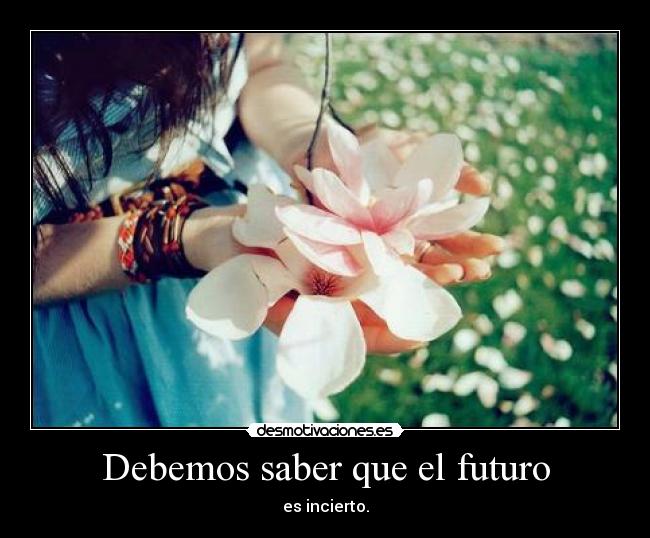 carteles lyb amo futuro incierto desmotivaciones