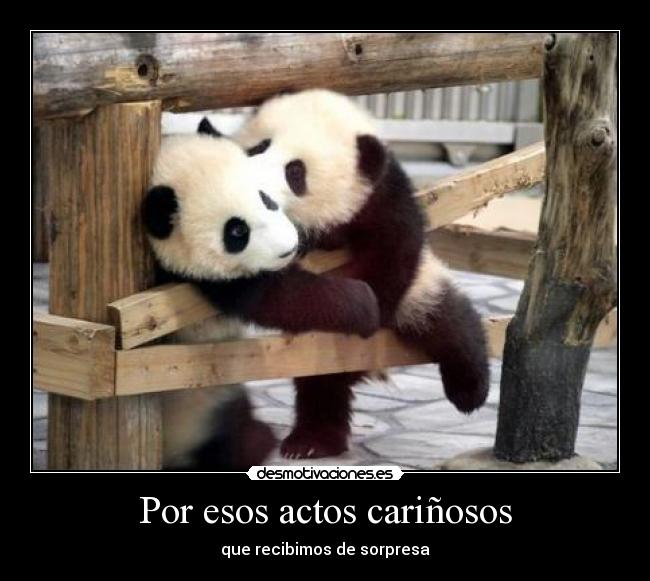 Por esos actos cariñosos - que recibimos de sorpresa