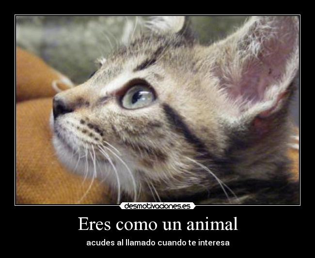 carteles dsbjkdddsah desmotivaciones