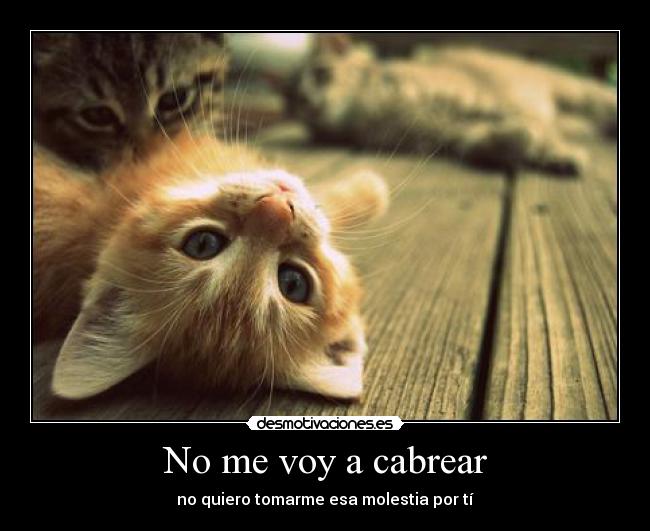No me voy a cabrear -