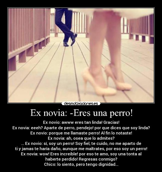 Ex novia: -Eres una perro! - 