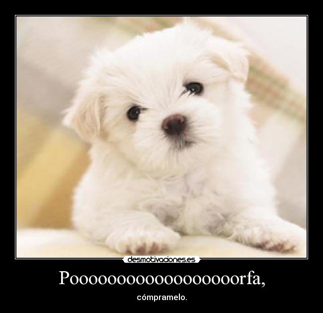 Poooooooooooooooooorfa, - cómpramelo.
