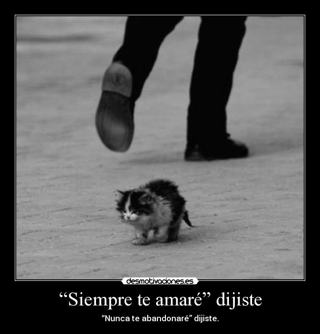 “Siempre te amaré” dijiste -