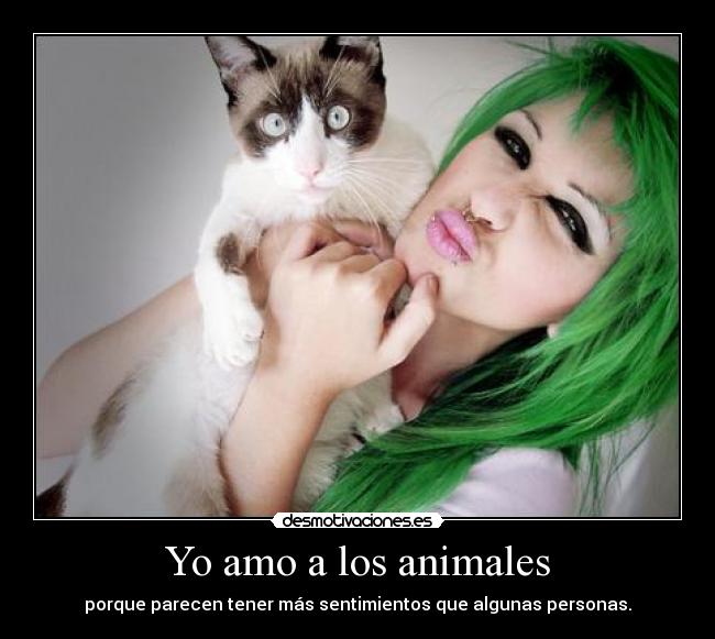 Yo amo a los animales -