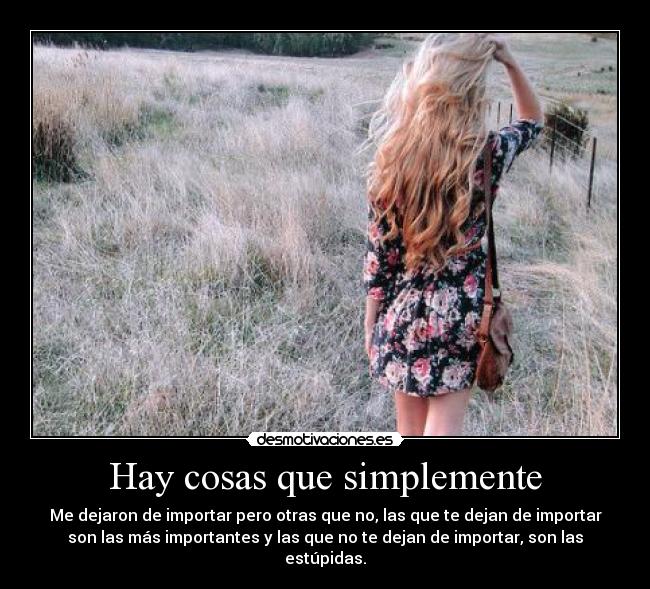 Hay cosas que simplemente -