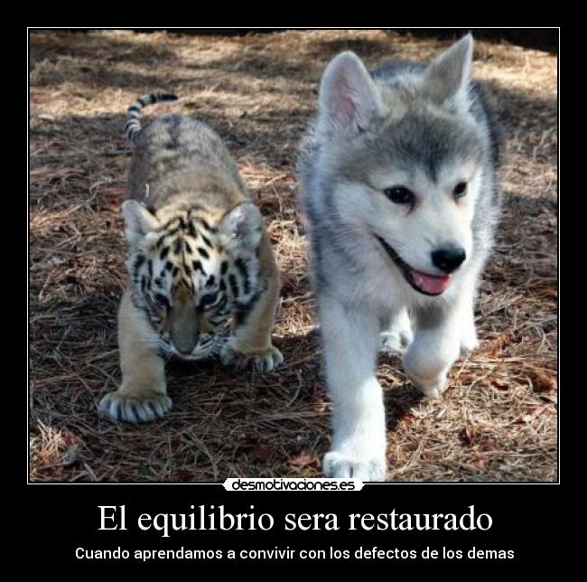 El equilibrio sera restaurado -