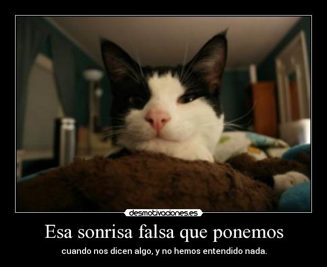 Esa sonrisa falsa que ponemos -