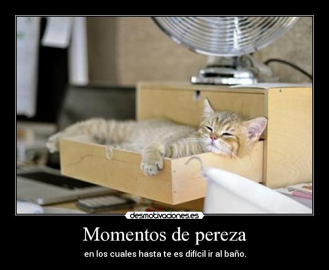 Momentos de pereza - en los cuales hasta te es difícil ir al baño.