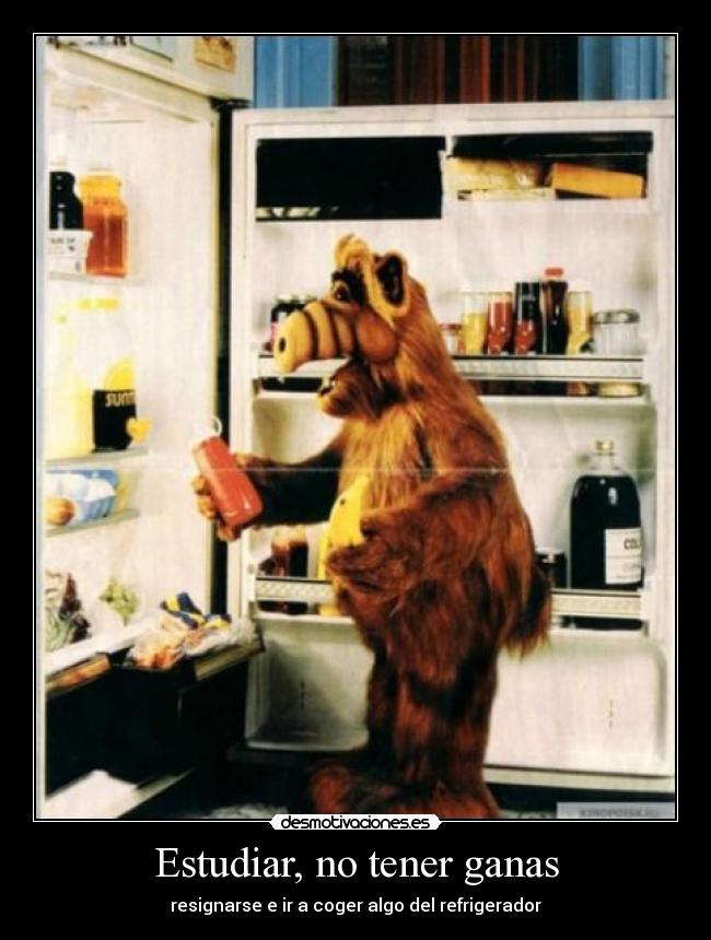 Estudiar, no tener ganas - resignarse e ir a coger algo del refrigerador