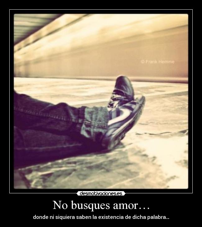 No busques amor… - donde ni siquiera saben la existencia de dicha palabra…