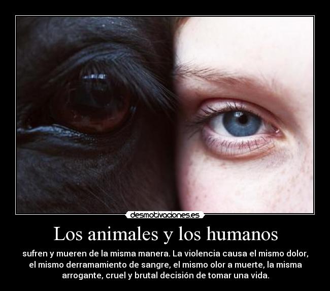 Los animales y los humanos -