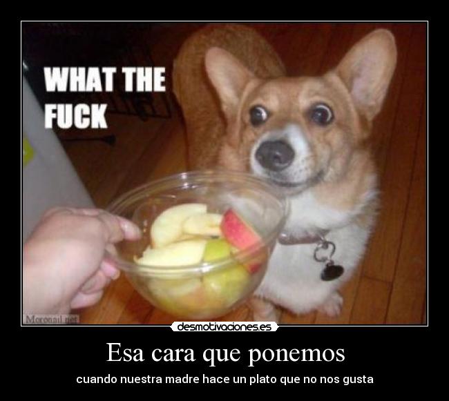 Esa cara que ponemos - cuando nuestra madre hace un plato que no nos gusta