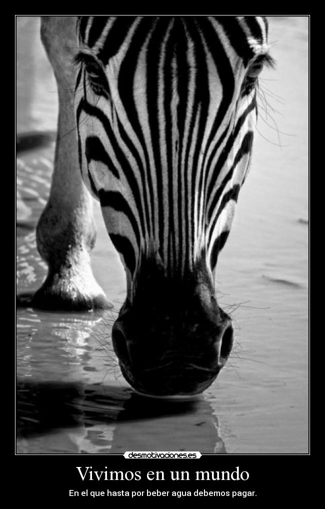 Vivimos en un mundo - En el que hasta por beber agua debemos pagar.