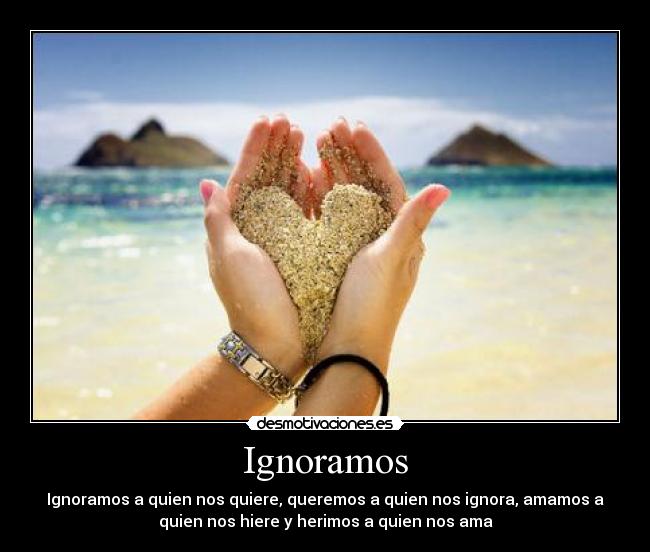 carteles lily magane desmotivaciones