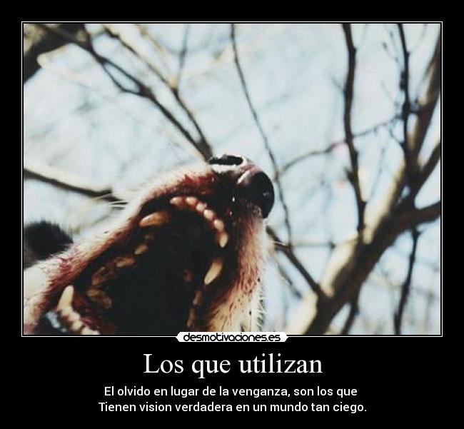 Los que utilizan - El olvido en lugar de la venganza, son los que
Tienen vision verdadera en un mundo tan ciego.