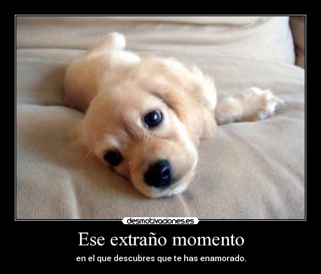 Ese extraño momento - 