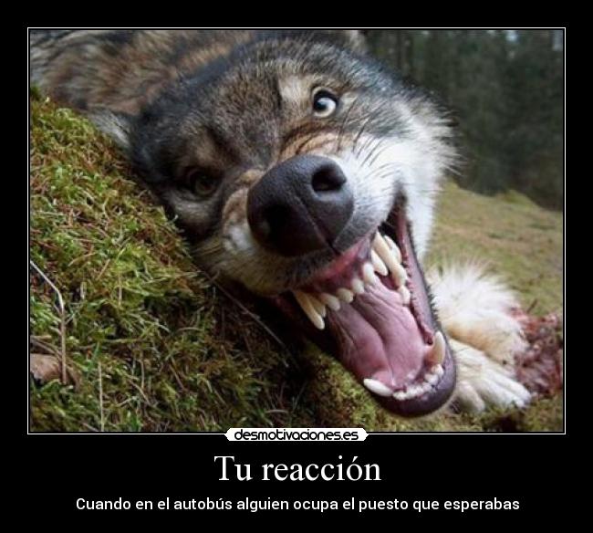 Tu reacción - Cuando en el autobús alguien ocupa el puesto que esperabas