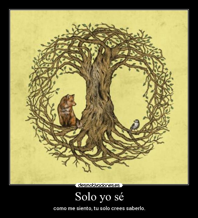 Solo yo sé - como me siento, tu solo crees saberlo.