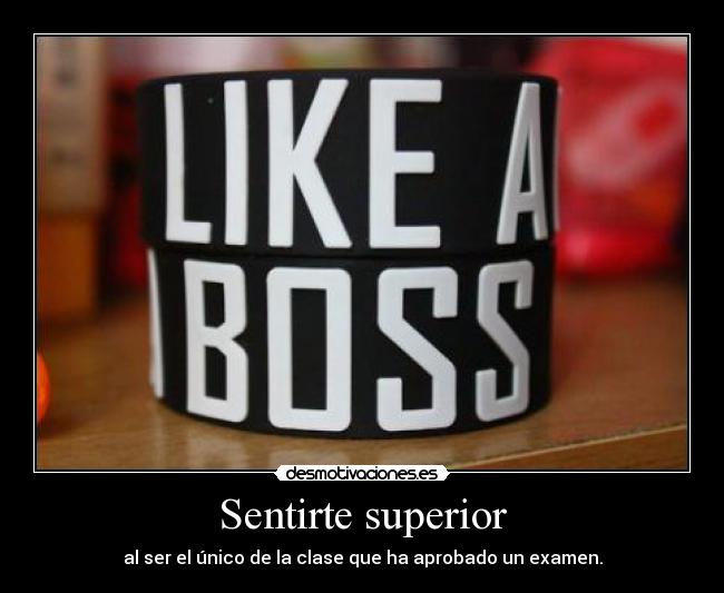 carteles feel like hermana desmotivaciones