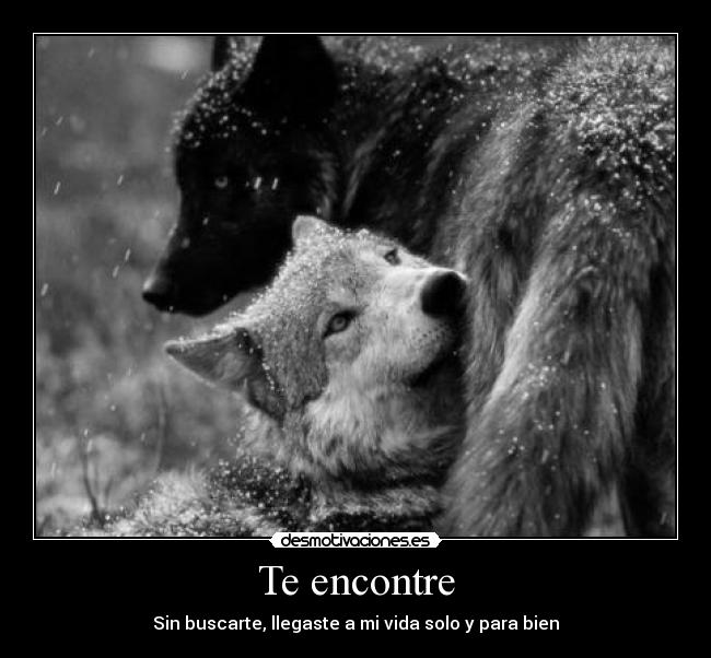 Te encontre - 